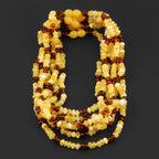 Baltic Amber Junior Necklace Roundel Multicolor Glossy Finish - Wholesale Lot of 10pcs - 38cm / 15in - BJN35
