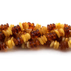 Baltic Amber Junior Necklace Roundel Multicolor Glossy Finish - Wholesale Lot of 10pcs - 38cm / 15in - CJN31