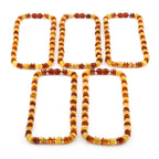 Baltic Amber Junior Necklace Roundel Multicolor Glossy Finish - Wholesale Lot of 10pcs - 38cm / 15in - CJN31