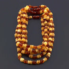 Baltic Amber Junior Necklace Roundel Multicolor Glossy Finish - Wholesale Lot of 10pcs - 38cm / 15in - CJN31