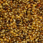 Baltic Amber Loose Beads - Green - Glossy Finish - Baroque 5mm - 100g Pack