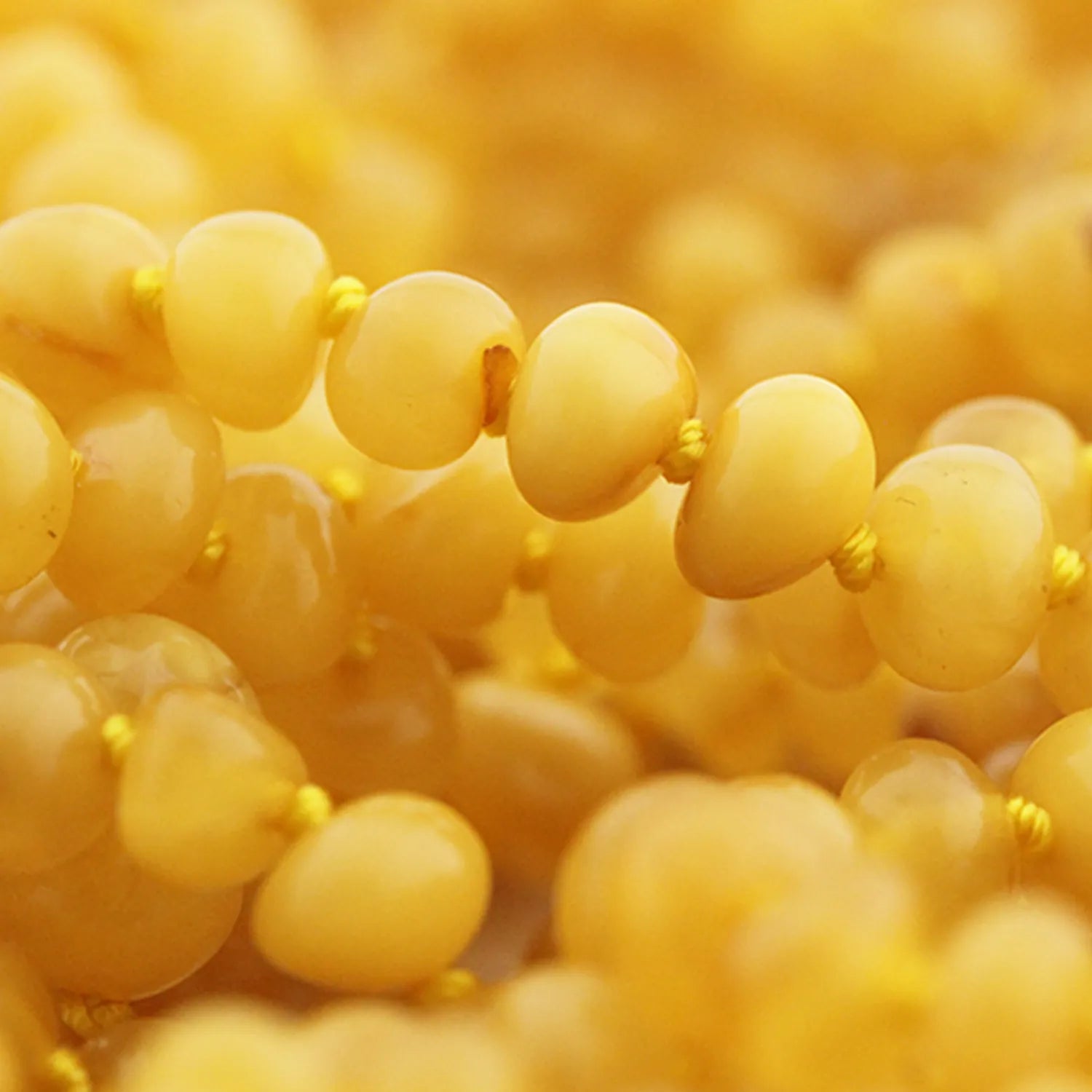 baltic-amber-close-up-butterscotch-color